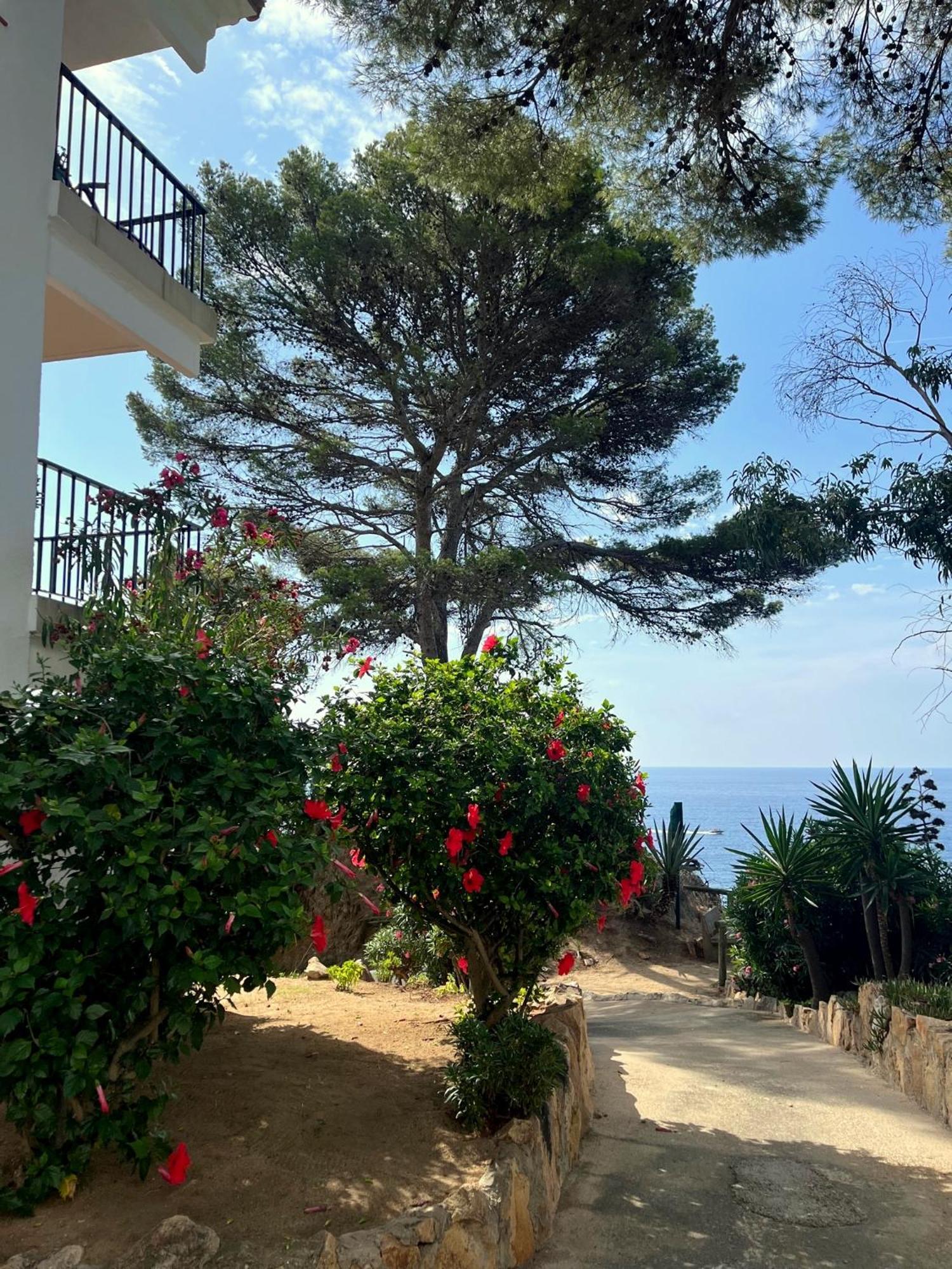 Apartamento LES TERRASSES de Cala Llevado Tossa de Mar Exterior foto